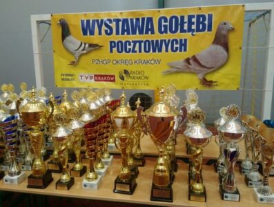 Okręgowa Wystawa Gołębi Pocztowych w Żarkach 2023