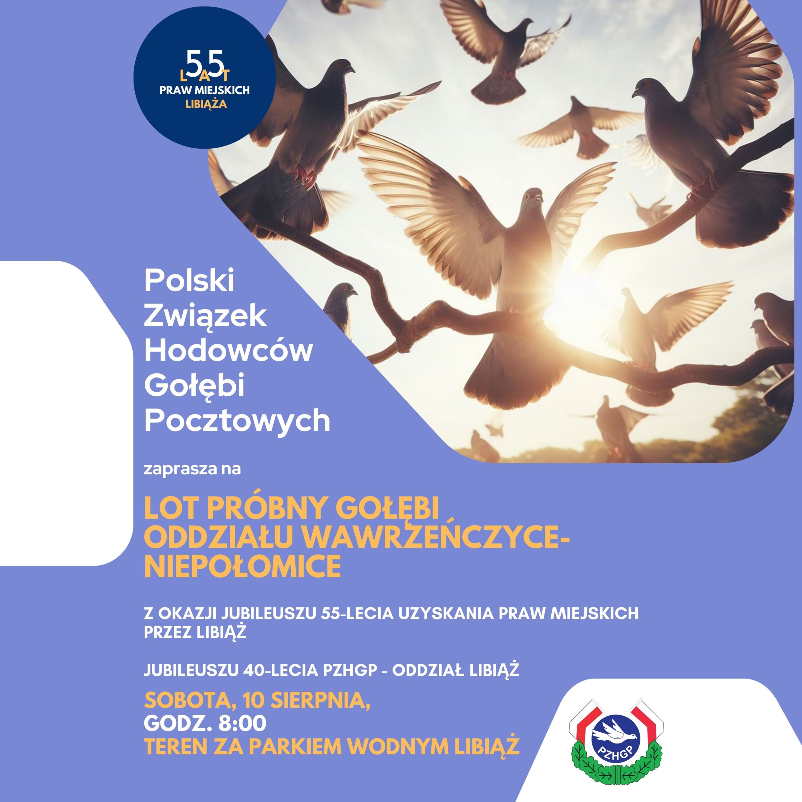 Nowe zajęcia choreo (Okładka płyty)