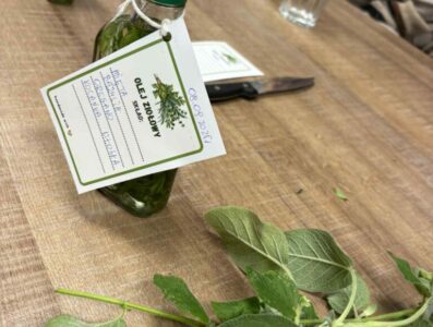 Ekopiknik z książką – wspólnie dla Ziemi