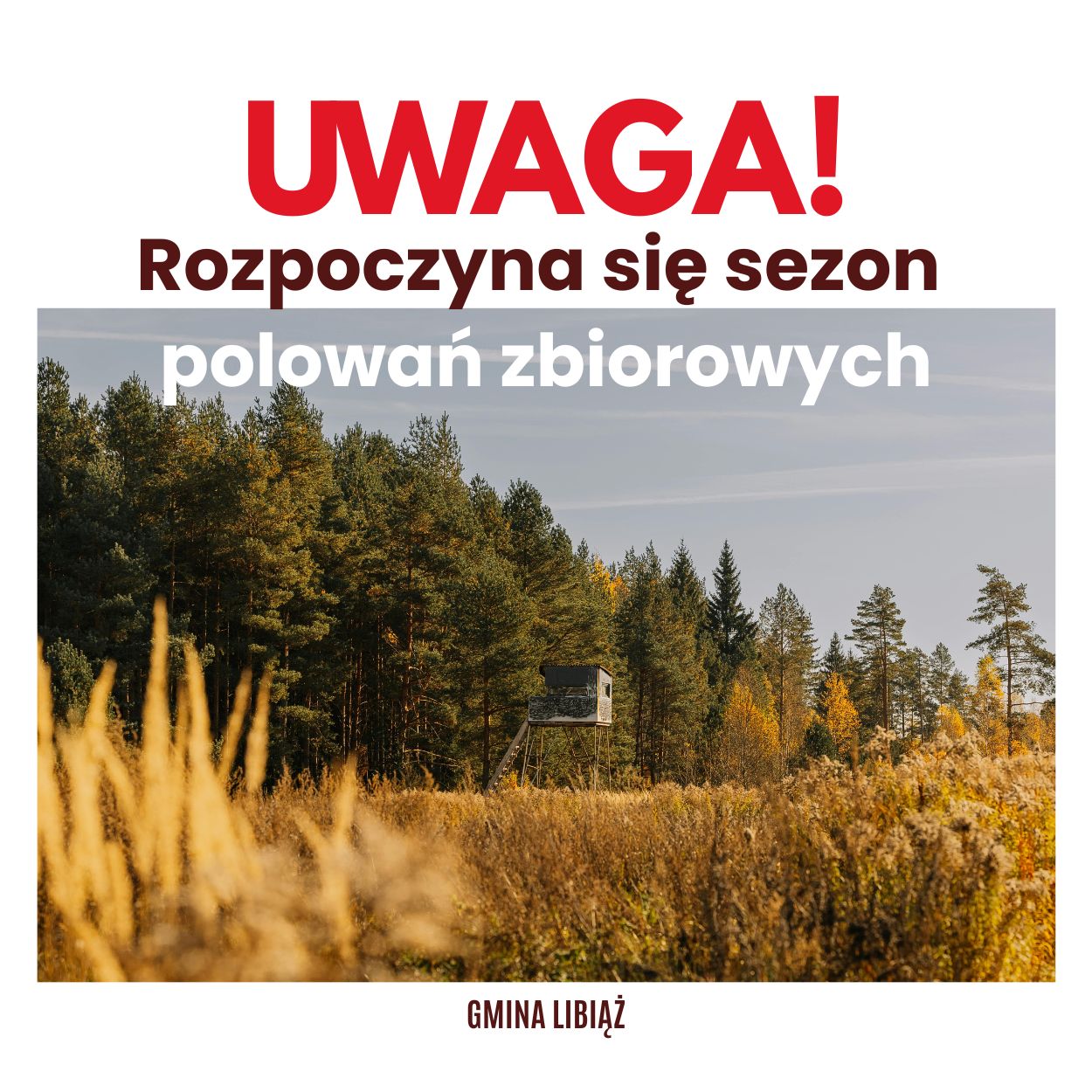 Uwaga! Wkrótce rozpocznie się sezon zbiorowych polowań -zachowajmy ostrożność